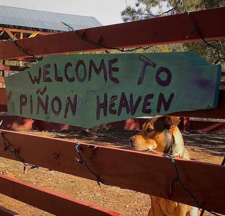 مبيت وإفطار Canada de los Alamos Pet Friendly Pinon Heaven المظهر الخارجي الصورة